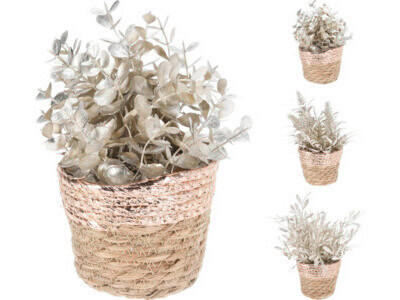 PLANTĂ DECORATIVĂ - Basics, plastic (11/11/20cm)