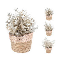PLANTĂ DECORATIVĂ - Basics, plastic (11/11/20cm)