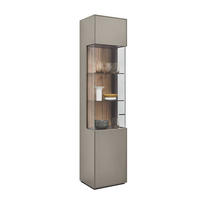 VITRINE Hellgrau  46,9/205,5/37,1 cm  - Hellgrau/Graphitfarben, Design, Glas/Holzwerkstoff (46,9/205,5/37,1cm) - Dieter Knoll