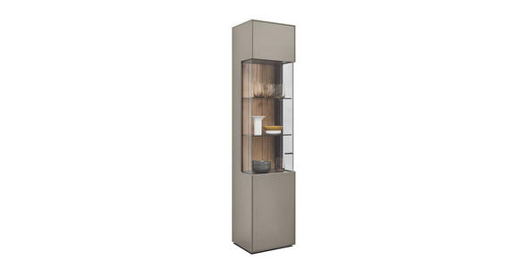 VITRINE Hellgrau 46,9/205,5/37,1 cm - Hellgrau/Graphitfarben, Design, Glas/Holzwerkstoff (46,9/205,5/37,1cm) - Dieter Knoll