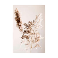 BILD Pflanzen  - Beige, Basics, Holz (70/50/2cm) - Reinders!