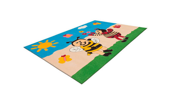 WEBTEPPICH 110/160 cm Multicolor  - Multicolor, Basics, Textil (110/160cm) - Novel