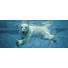 GLASBILD - Multicolor, KONVENTIONELL, Glas (50/125/1,40cm) GLASBILD - Multicolor, KONVENTIONELL, Glas (50/125/1,40cm)