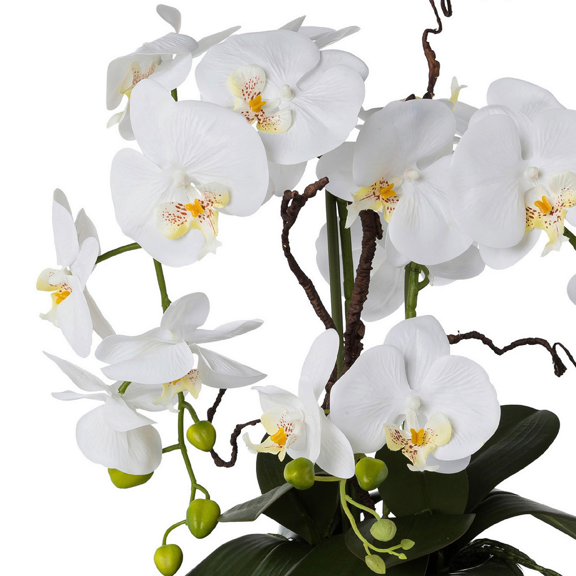 KUNSTPFLANZE Orchidee 55 cm  - Silberfarben/Weiß, Design, Keramik/Kunststoff (55cm) - P & B