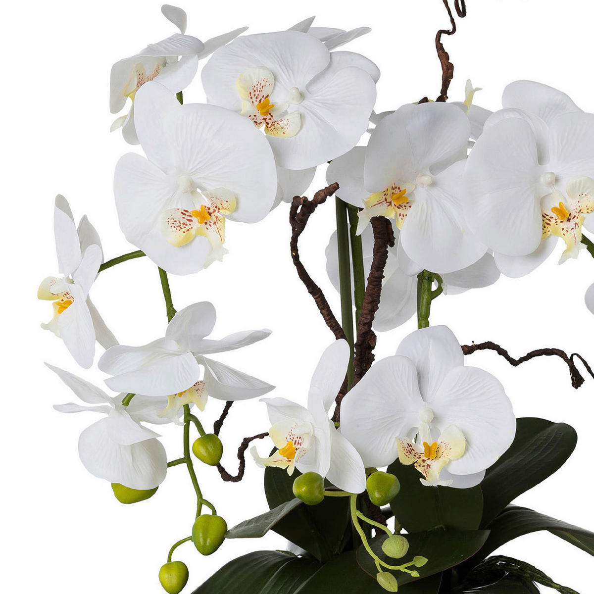KUNSTPFLANZE Orchidee 55 cm  - Silberfarben/Weiß, Design, Keramik/Kunststoff (55cm) - P & B