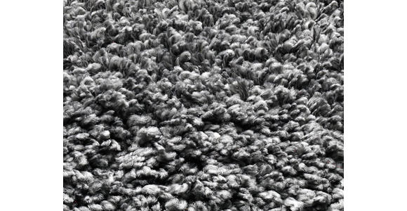 HOCHFLORTEPPICH 240/340 cm Fashion Shaggy Dunkelgrau - Dunkelgrau, Basics, Textil (240/340cm) - Novel