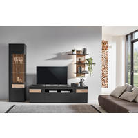 WOHNWAND  in Dunkelgrau, Eiche Artisan 296/205/50 cm  - Dunkelgrau/Schwarz, Design, Glas/Holzwerkstoff (296/205/50cm) - Stylife