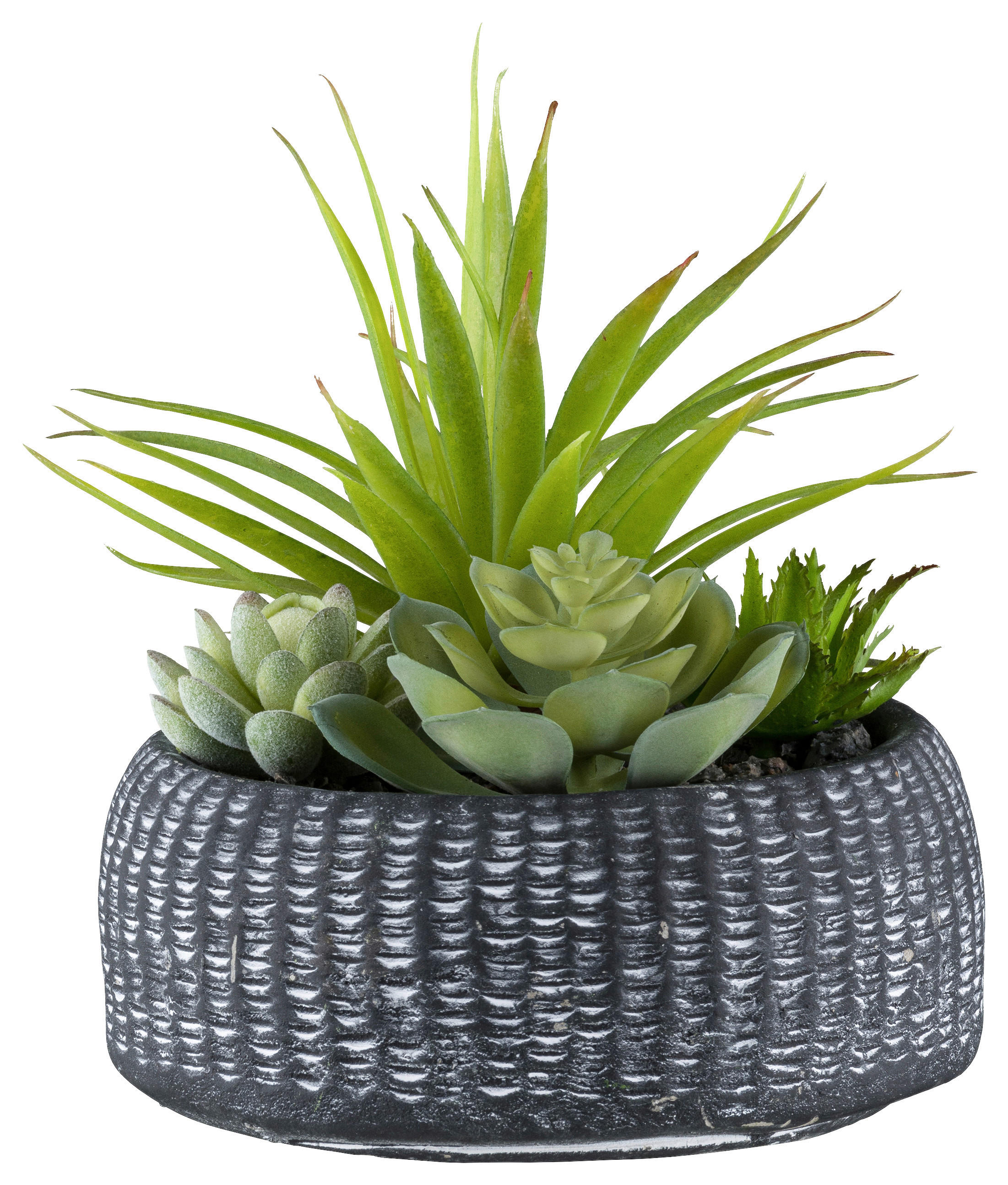 KUNSTPFLANZE Sukkulente 18 cm  - Anthrazit/Grün, Design, Keramik/Kunststoff (18cm) - P & B