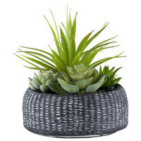 KUNSTPFLANZE Sukkulente 18 cm  - Anthrazit/Grün, Design, Keramik/Kunststoff (18cm) - P & B