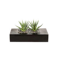 KUNSTPFLANZE Agave 14 cm  - Braun/Grün, Design, Holz/Kunststoff (14cm)