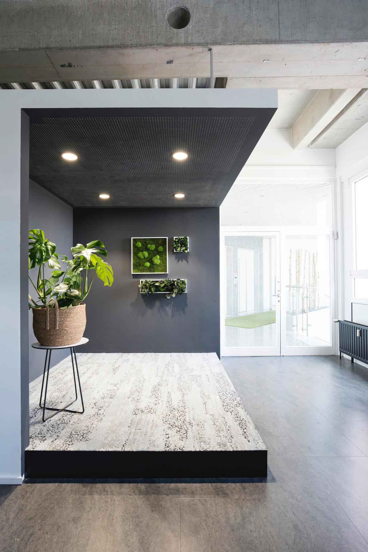 MOOSBILD  - Weiss/Grün, Basics, Naturmaterialien/Holz (55/55/7cm)