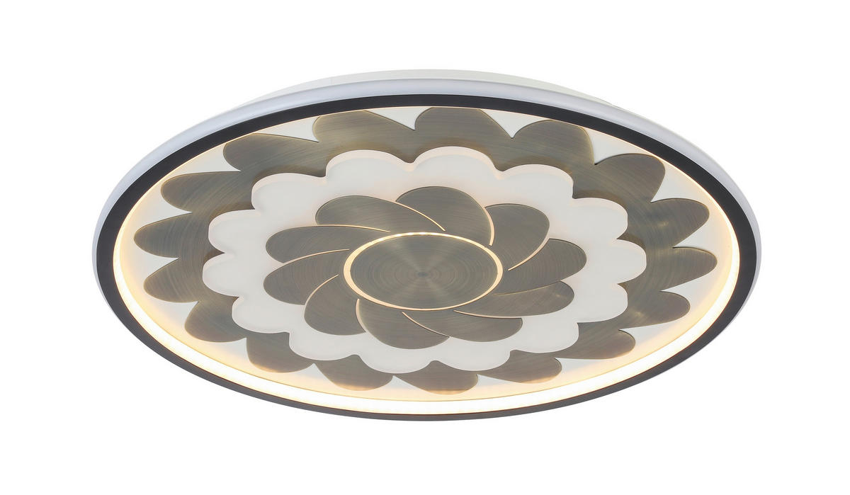 STROPNÉ LED SVIETIDLO, 58/5,5 cm  - čierna/biela, Lifestyle, kov/plast (58/5,5cm) - Dieter Knoll