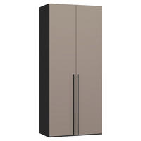 DREHTÜRENSCHRANK 102/236/59 cm,  in Schwarz, Hellbraun, 2-türig  - Hellbraun/Schwarz, Design, Glas/Holzwerkstoff (102/236/59cm) - Jutzler