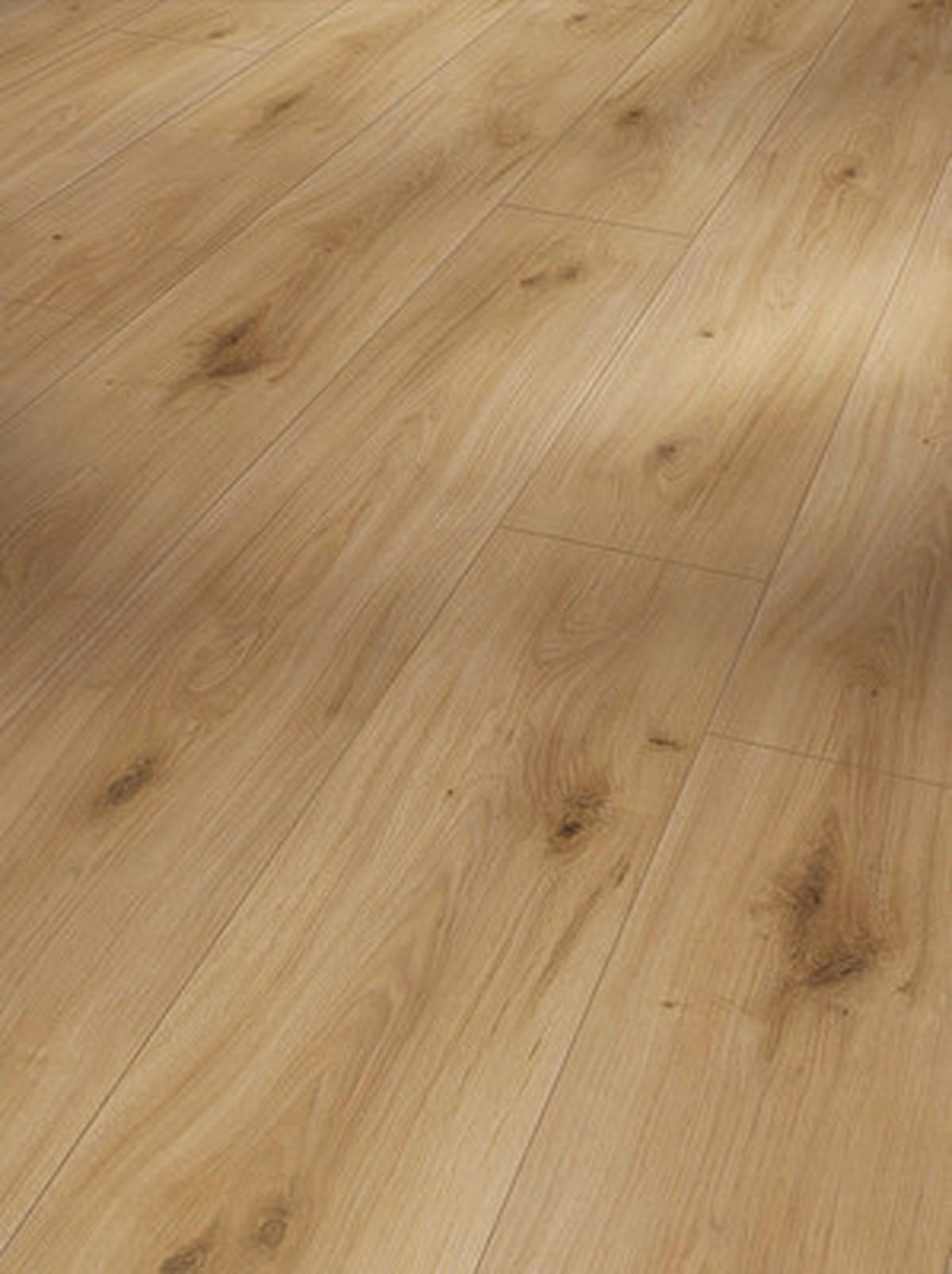 LAMINATBODEN Basic 600  per  m² - Hellbraun/Eichefarben, KONVENTIONELL, Holzwerkstoff (128,5/24,3/0,8cm) - Parador