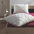 POLŠTÁŘ, 70/90 cm - bílá, Basics, textil (70/90cm) - Sleeptex POLŠTÁŘ, 70/90 cm - bílá, Basics, textil (70/90cm) - Sleeptex