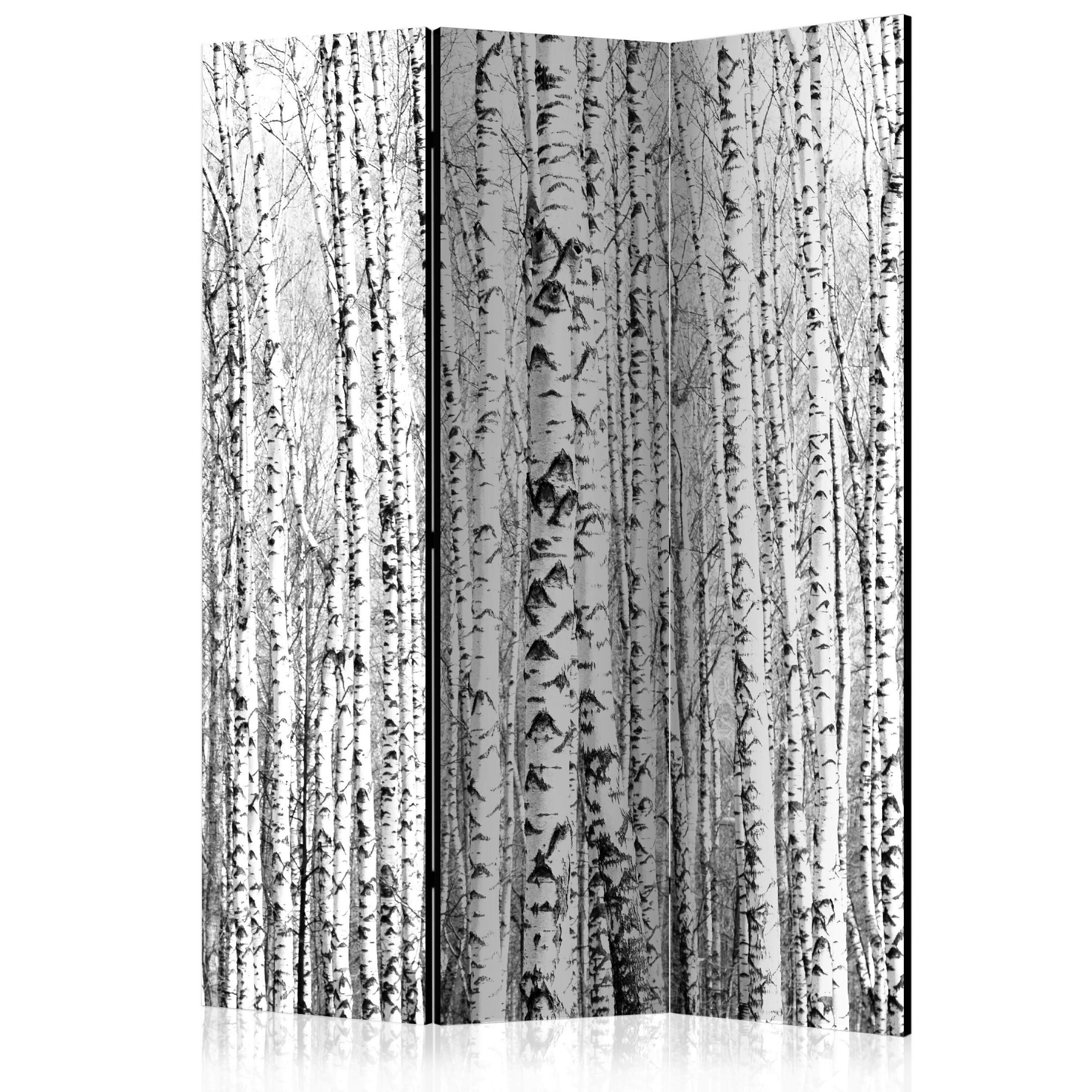 PARAVENT mit 3  Flügel - Schwarz/Weiß, Basics, Holz/Textil (135/172/3cm) - artgeist