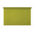 ROLLO - Grün, Basics, Kunststoff (100/160cm) - Homeware