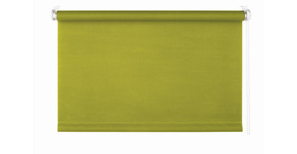 ROLLO - Grün, Basics, Kunststoff (100/160cm) - Homeware