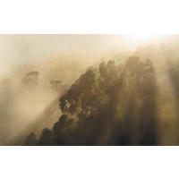 NON WOVEN-TAPET 400/250 cm  - Natur (400/250cm)