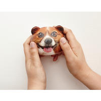 MOTORIČKA IGRAČKA   - višebojno, Basics, plastika (9.2/8.5/13cm) - Kikkerland