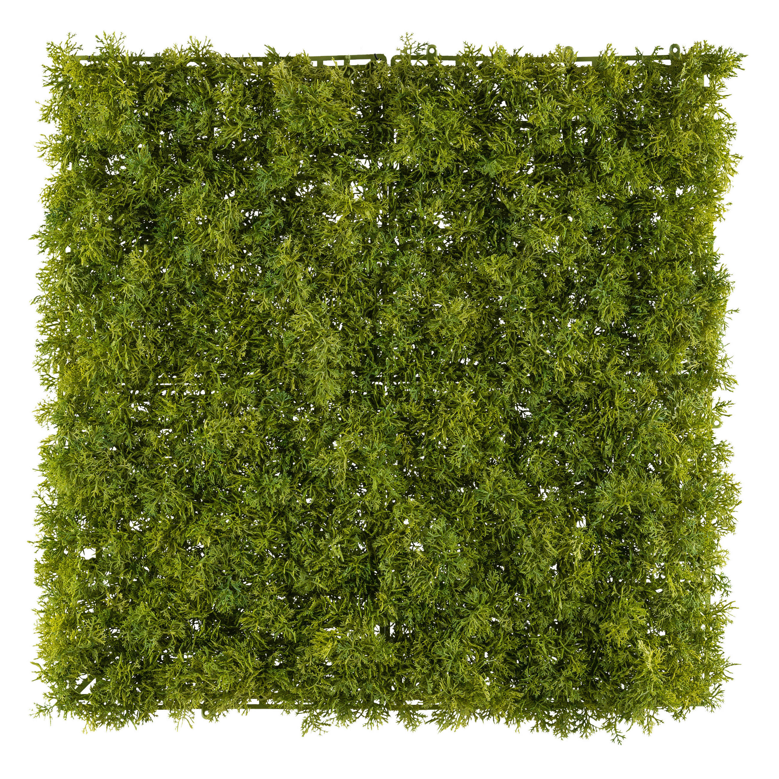 KUNSTPFLANZE 50 cm - Grün, Design, Kunststoff (50cm) - P & B