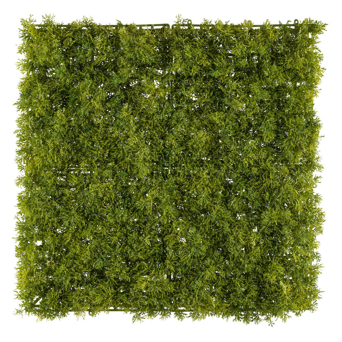 KUNSTPFLANZE 50 cm  - Grün, Design, Kunststoff (50cm) - P & B
