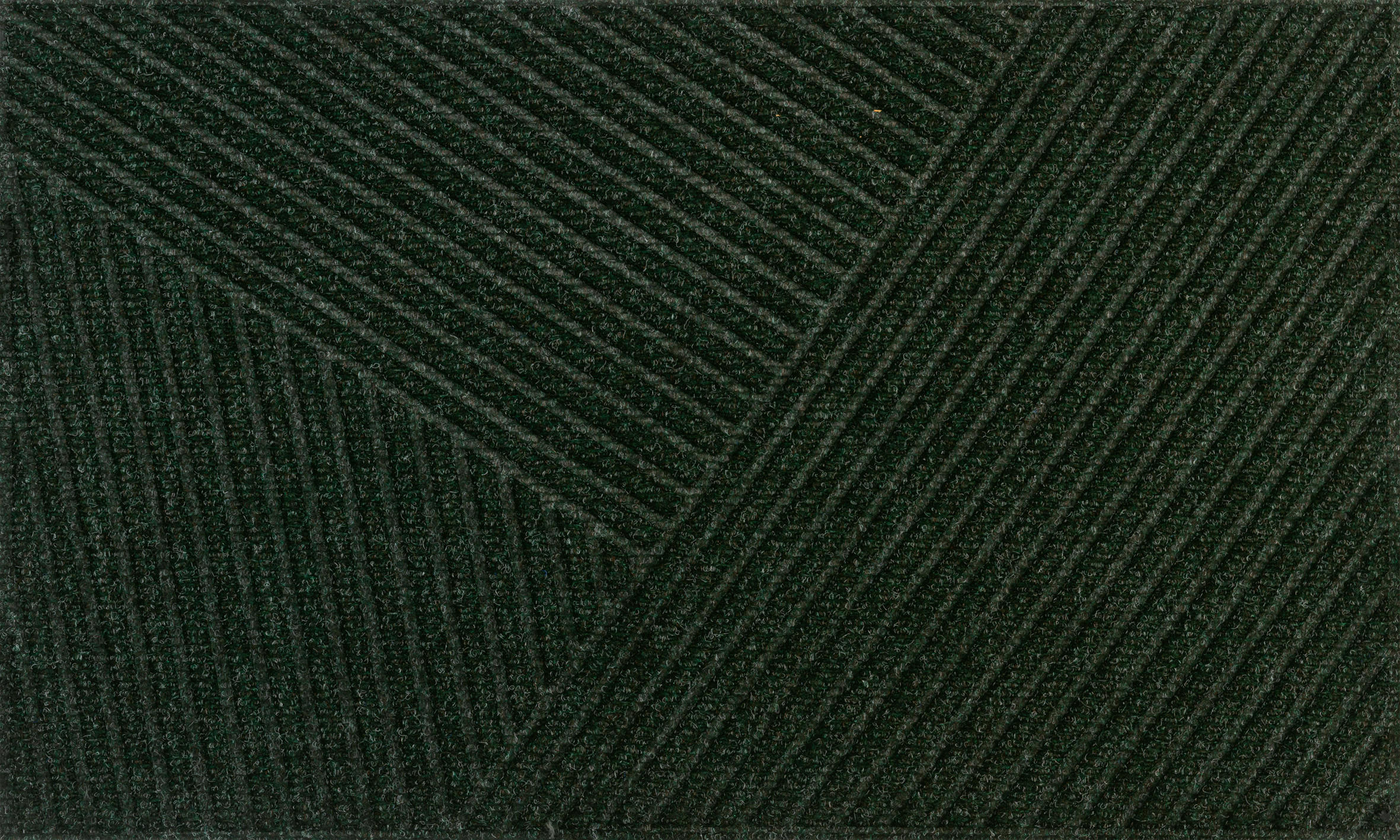 FUßMATTE  45/75 cm  Grün  - Grün, KONVENTIONELL, Kunststoff/Textil (45/75cm) - wash+dry