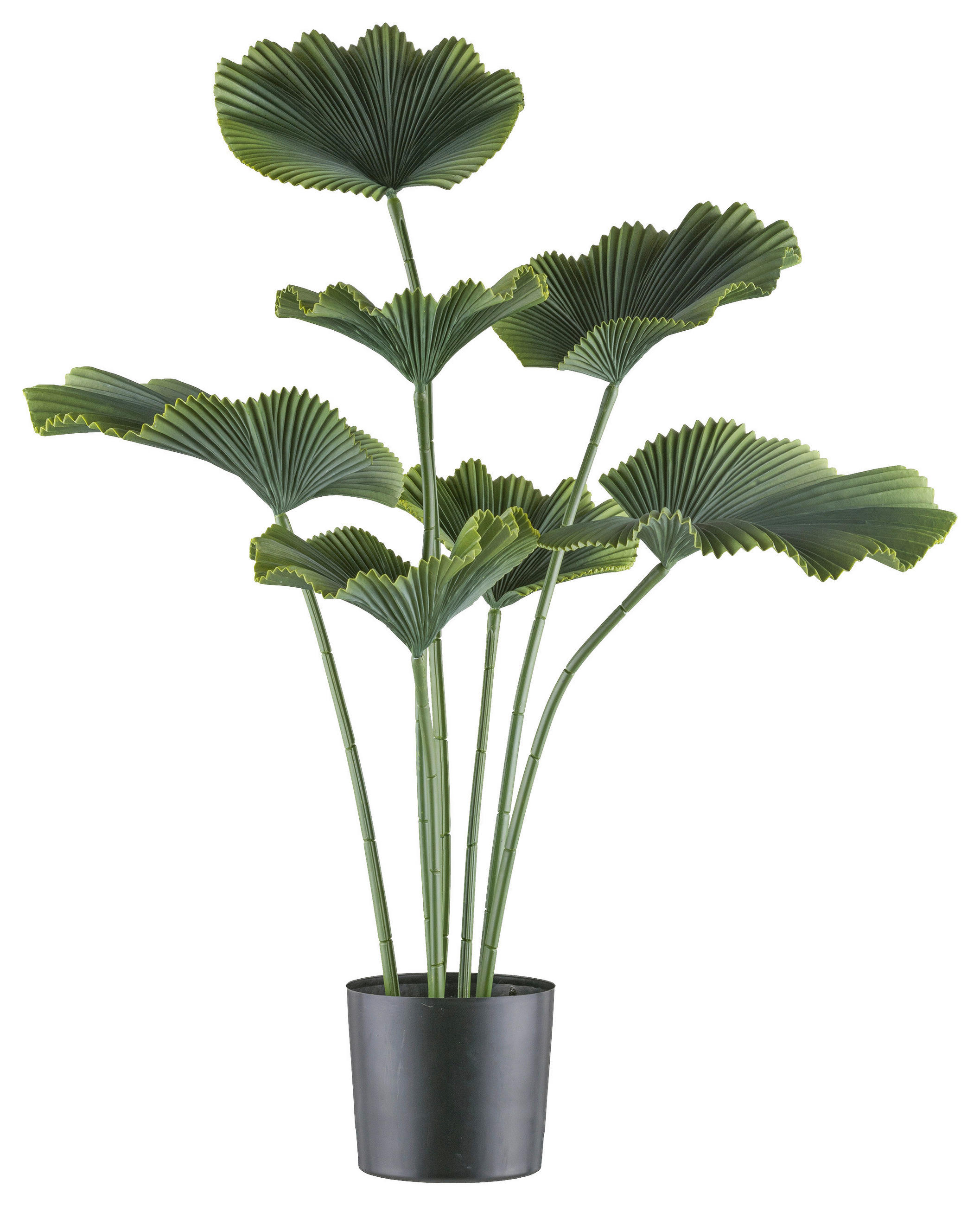 KUNSTPFLANZE Palme 100 cm  - Schwarz/Grün, Design, Kunststoff (100cm) - P & B