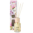 DIFFUSER 100 ml Magnolie  - Naturfarben, Basics (100ml) - Ambia Home