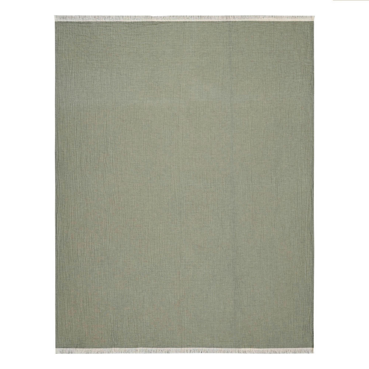 PLAID Baggy 125/170 cm  - Grün, Basics, Textil (125/170cm) - Bassetti