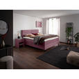 BOXSPRINGBETT 200/220 cm  in Rosa  - Schwarz/Rosa, KONVENTIONELL, Textil/Metall (200/220cm) - Esposa