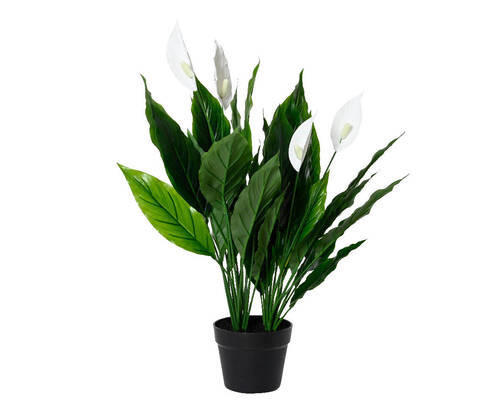 PLANTĂ ARTIFICIALĂ - Basics (75,00/65,00/65,00cm)