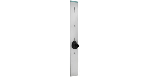 GARDEROBENPANEEL in 20/199/3 cm - Weiß/Mintgrün, Design, Holzwerkstoff (20/199/3cm) - Moderano