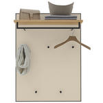 GARDEROBENPANEEL  in 80/109/27 cm  - Eichefarben/Anthrazit, Design, Glas/Holz (80/109/27cm) - Dieter Knoll