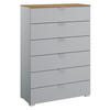 KOMMODE 80/119/42 cm  in Grau, Eichefarben  - Eichefarben/Alufarben, Trend, Holzwerkstoff/Kunststoff (80/119/42cm) - Stylife