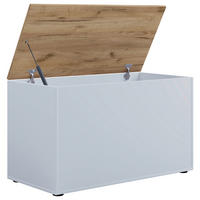 TRUHENBANK 82/49/44 cm Weiß, Honigeiche Kunststoff  - Honigeiche/Schwarz, KONVENTIONELL, Kunststoff (82/49/44cm) - MID.YOU