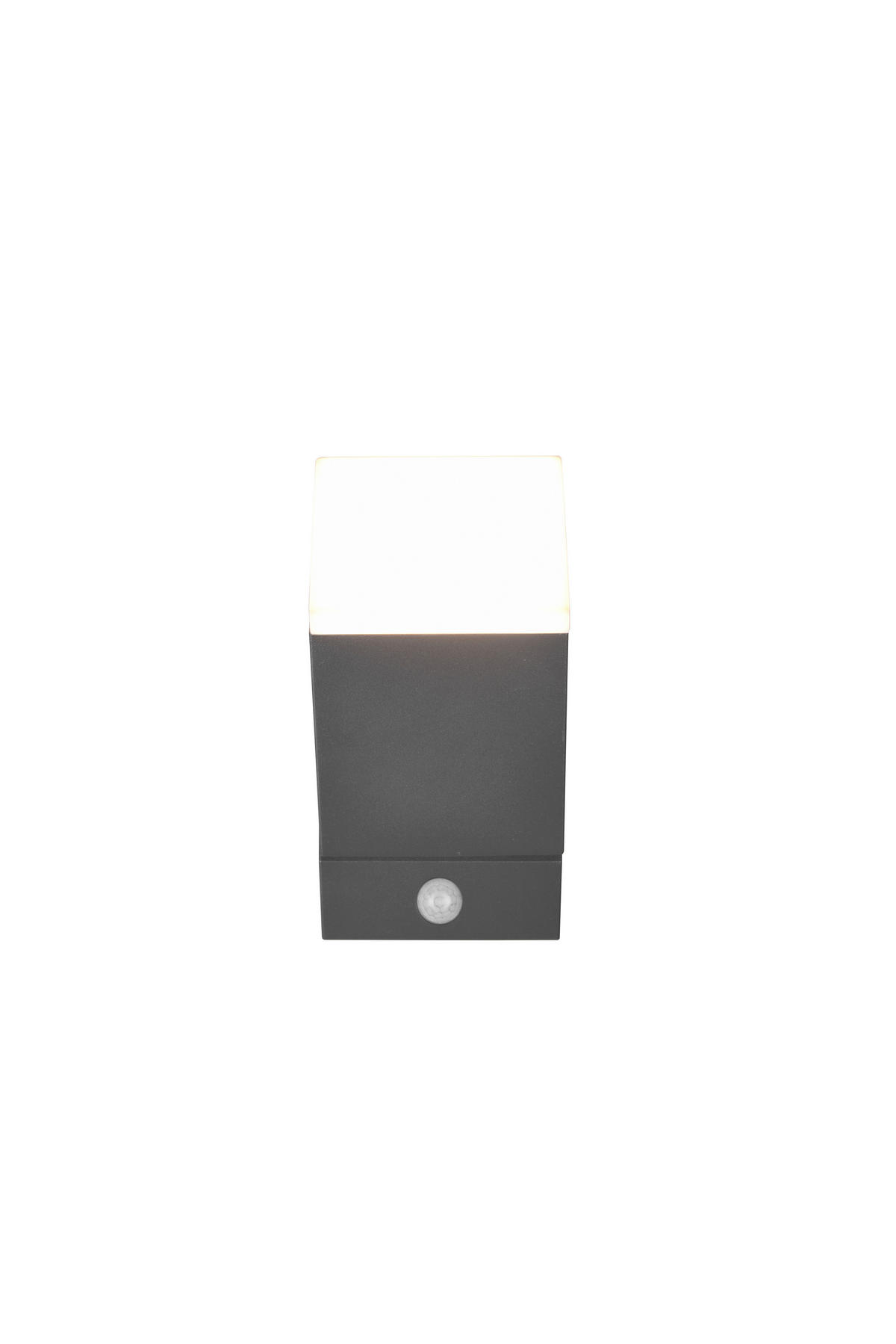 VÄGGLAMPA FÖR UTOMHUS - antracit, Basics, metall/plast (11/9/16cm) - Trio Leuchten