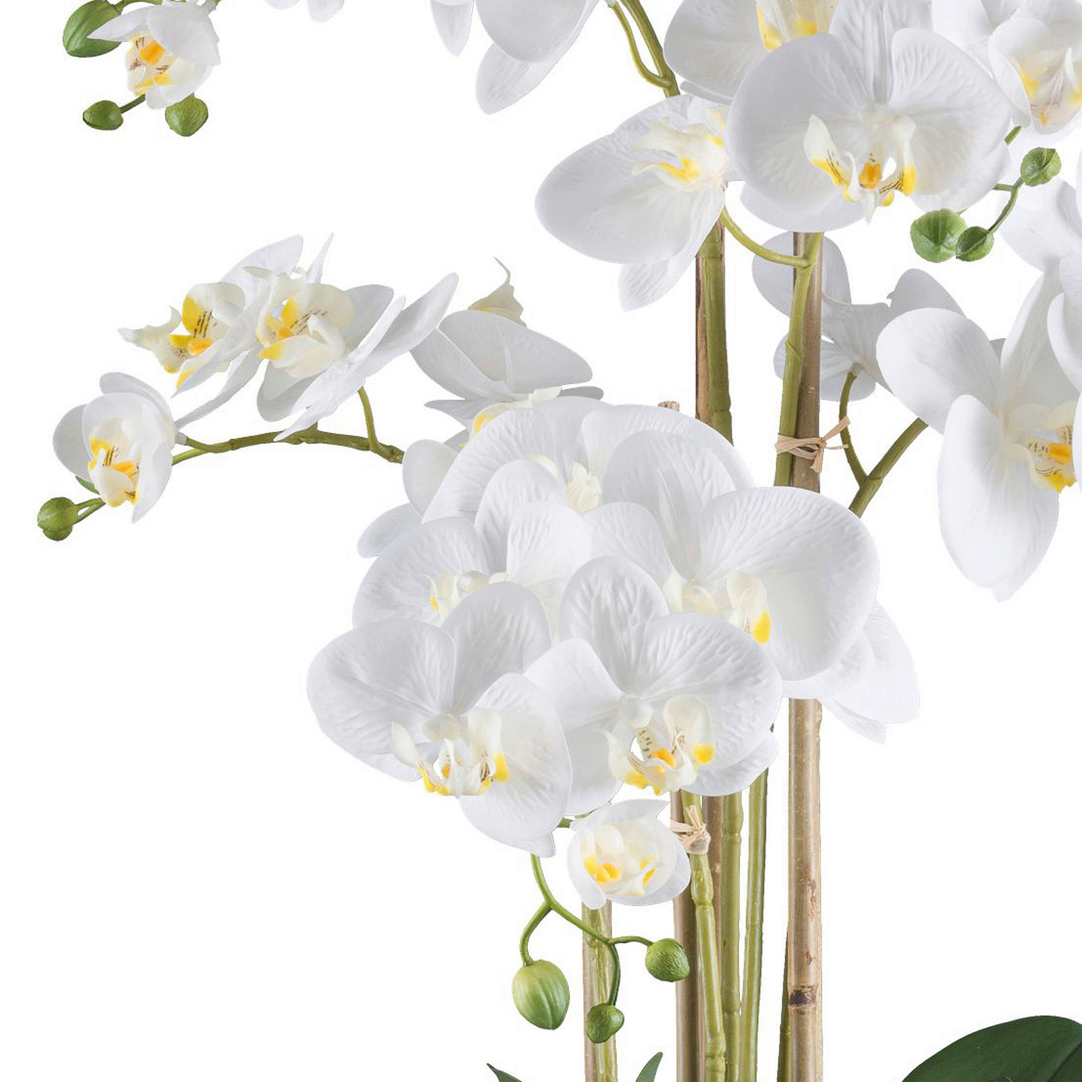 KUNSTPFLANZE Orchidee 70 cm  - Weiß/Grün, Design, Kunststoff (70cm) - P & B
