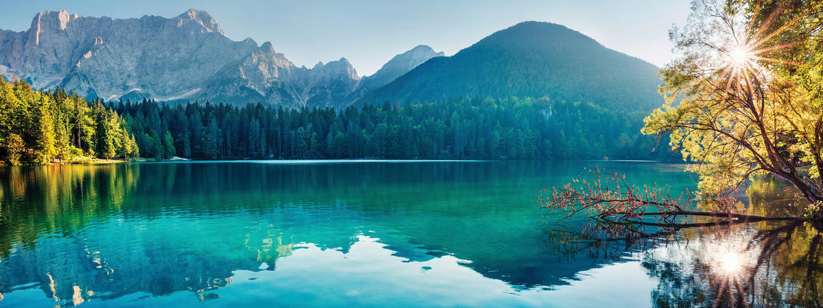 GLASBILD Landschaft & Natur 30/80 cm  - Multicolor, Natur, Glas (30/80cm) - Euroart