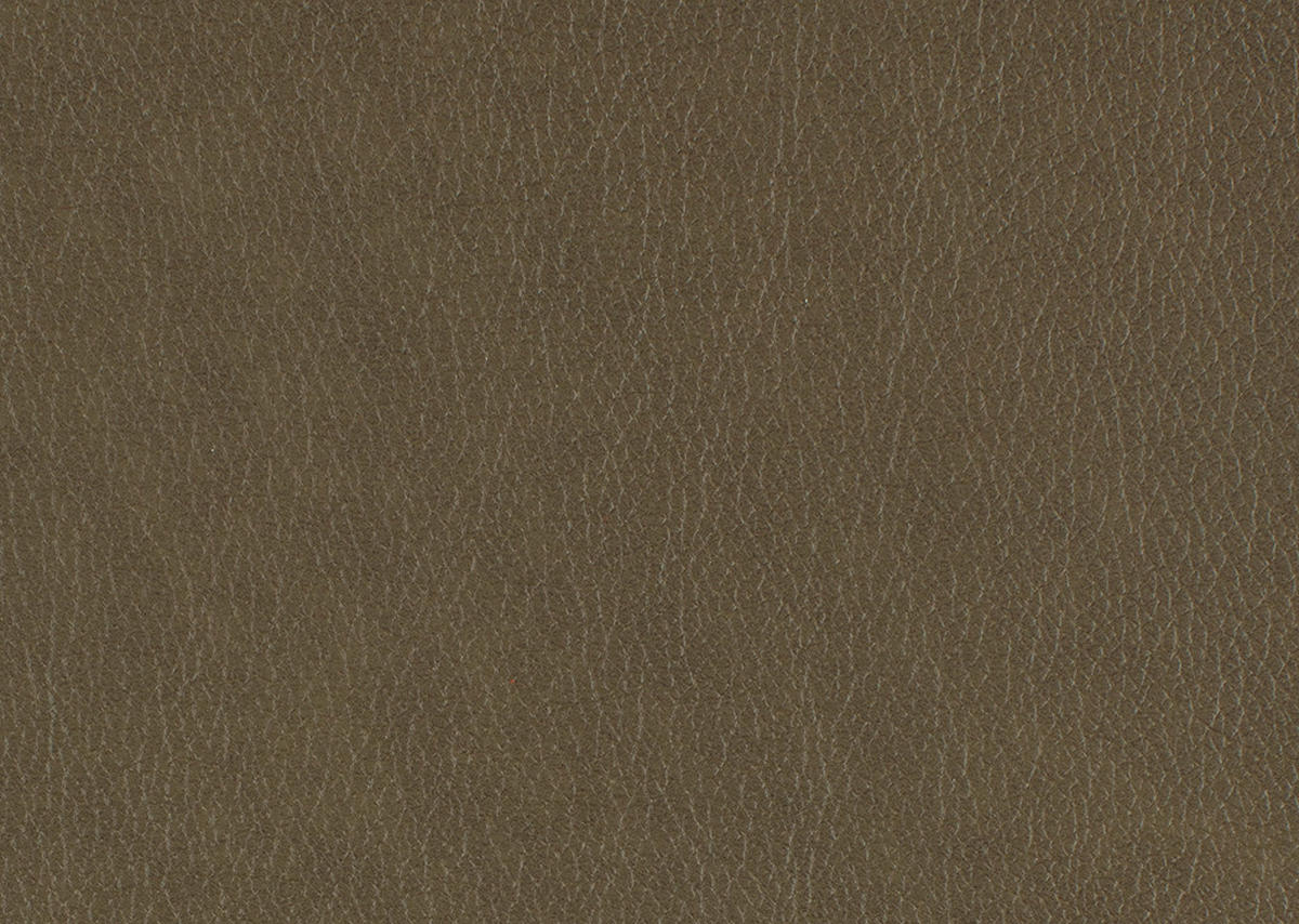 2-SITZER-SOFA in Echtleder Olivgrün  - Schwarz/Olivgrün, Konventionell, Leder/Metall (178/103/92cm) - Dieter Knoll