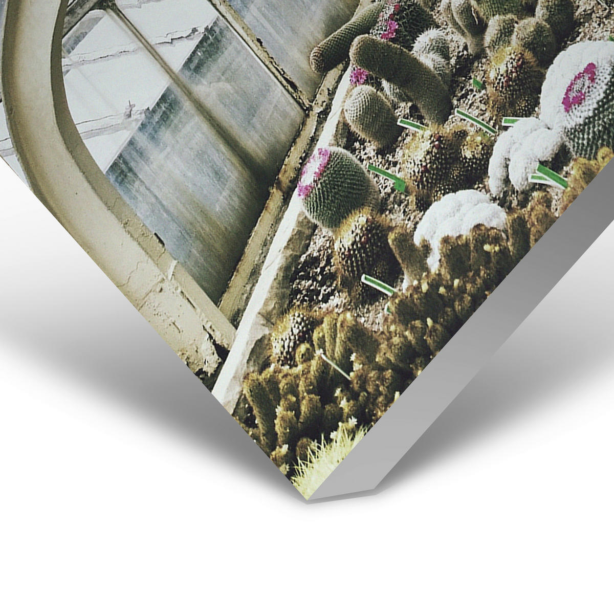 BILD Landschaft & Natur, Bäume, Blumen, Pflanzen, Blätter  - Schwarz/Grün, Design, Holz/Kunststoff (148/98cm)