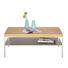 COUCHTISCH in Holz, Holzwerkstoff 110/65/42 cm - Eichefarben/Silberfarben, KONVENTIONELL, Holz/Holzwerkstoff (110/65/42cm) - Moderano COUCHTISCH in Holz, Holzwerkstoff 110/65/42 cm - Eichefarben/Silberfarben, KONVENTIONELL, Holz/Holzwerkstoff (110/65/42cm) - Moderano