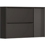 HÄNGESCHUHSCHRANK  in 137/80/23 cm  - Anthrazit/Schwarz, Design, Glas/Holzwerkstoff (137/80/23cm) - Dieter Knoll