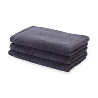 GÄSTETUCH London Graphitfarben 3-teilig 30/50 cm  - Graphitfarben, Basics, Textil (30/50cm) - Aquanova