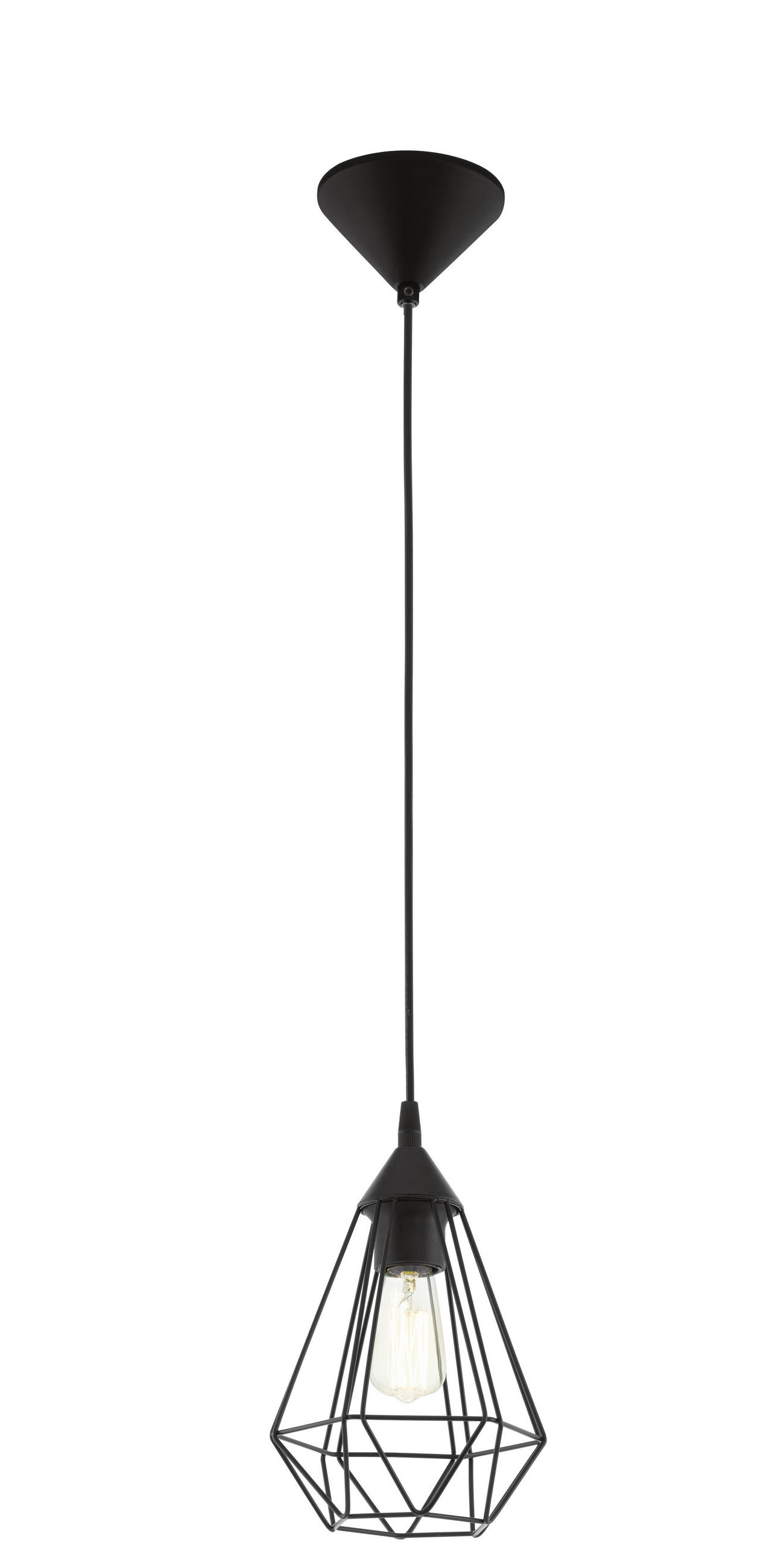 LUSTER 17/110 cm - crna, Lajfstajl, metal/plastika (17/110cm)