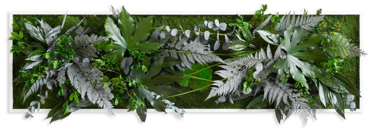 MOOSBILD  - Weiss/Grün, Basics, Naturmaterialien/Holz (140/40/18-22cm)