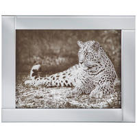 GLASBILD Tiere 48/38 cm  - Silberfarben/Schwarz, Trend, Glas/Holz (48/38cm) - Ambia Home