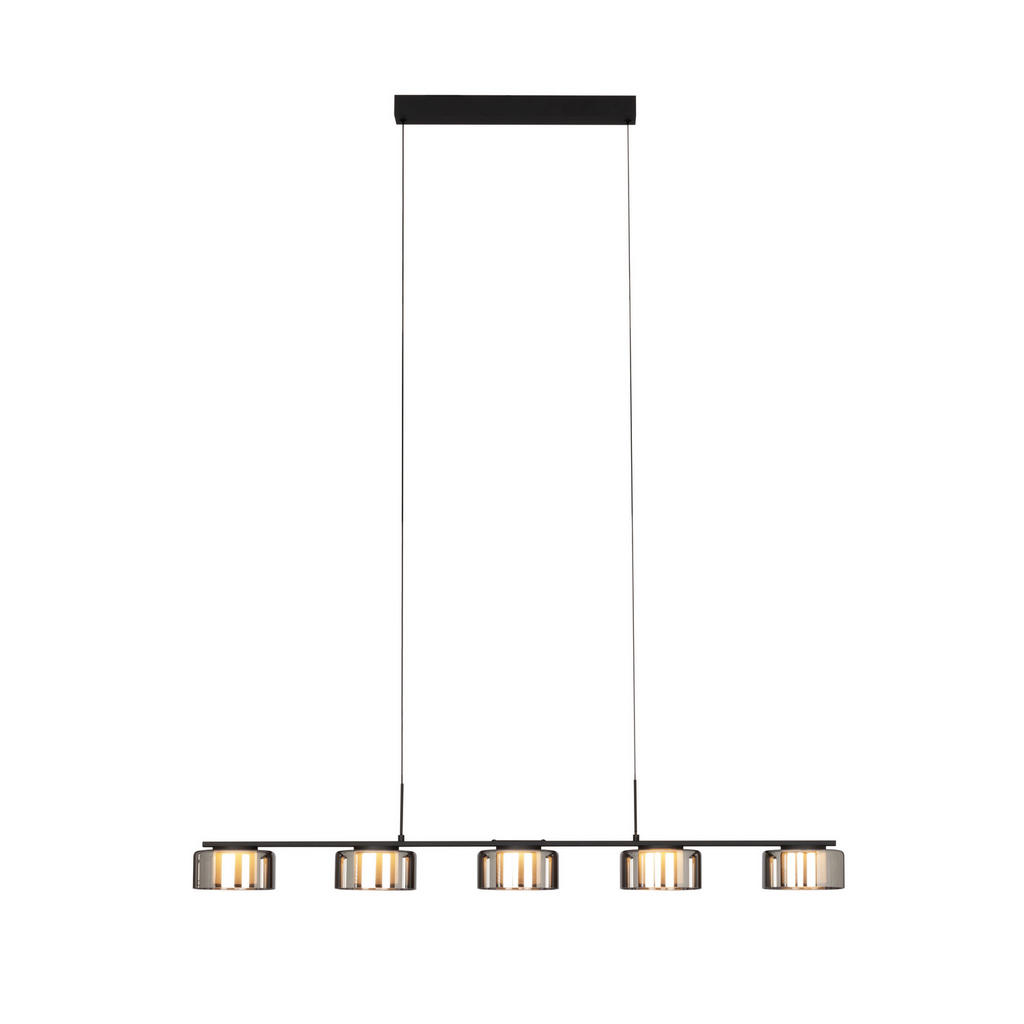 Dieter Knoll ZÁVESNÉ LED SVIETIDLO, 119/15/150 cm