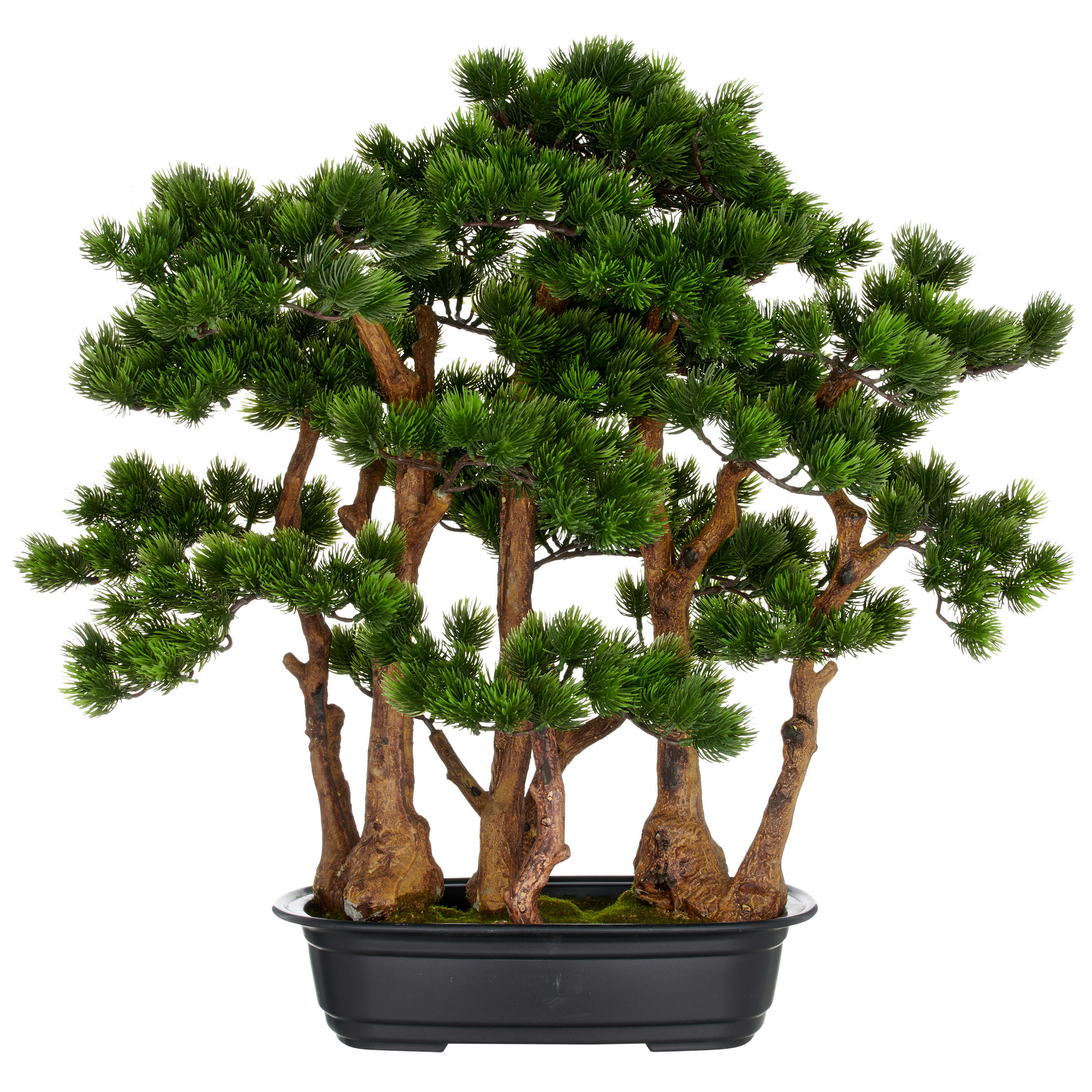 BONSAI Bonsai  - Schwarz/Braun, Basics, Kunststoff (60/60cm) - P & B