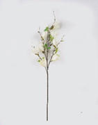 MŰNÖVÉNY - krémszínű/zöld, Basics, műanyag